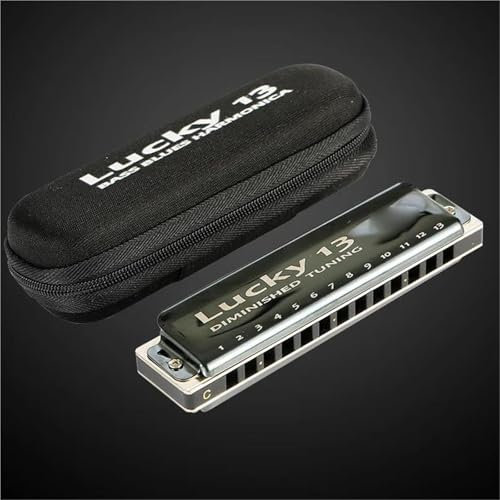13 Dominished Harmonica Musikinstrumente 13 Löcher C Mundharmonika Für Anfänger