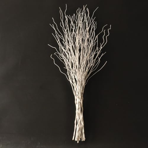 Künstliche lebensechte lockige Weidenzweige, dekorative getrocknete Zweige, 76 cm, künstliche biegbare Stäbe, Kunststoff-Reben, DIY-Grünpflanzen, Pflanzen für Garten, Hotel, Bauernhaus-Dekor (Weiß, 5)