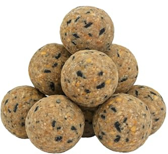 RANRHA 40 Pack Ultimate Fat Balls for Wild Birds – High Energy Suet Balls with Seeds & Nuts, Ideal for Year-Round Feeding, No Net, 3.2kg