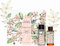 Yves Rocher ESSENCES BOTANIQUES - Beruhigendes Set: Eau de Parfum 50 ml & Körperöl 50 ml - Umhüllendes Duo mit Noten von Moschus, Kamille und Néroli