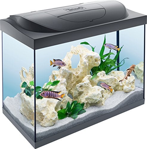Tetra Starter Line Acquario Led Set Completo Con Illuminazione A Led, Acquario Stabile Per Principianti Con Tecnologia, Cibo E Prodotti Per La Cura, Nero, 80 l