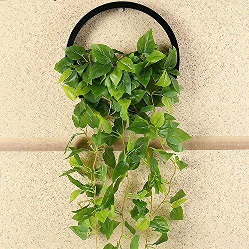 Jarrón colgante de pared, maceta geométrica redonda para montaje en pared, soporte de metal para plantas aéreas, contenedor vertical para plantas suculentas cactus y más