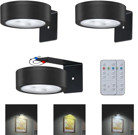 MIOBLUE 3Pack Bild Licht batteriebetriebene Malerei Lichter, Drahtlose magnetische Anzeige Kunst Licht mit Fernbedienungen, Dimmbare Timer Portrait Licht für Kunstrahmen Artworking