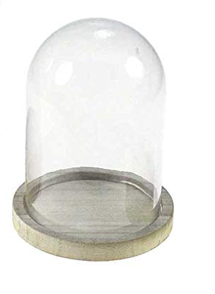 Floral-Direkt Glas Glocke Haube ca. H16cm Ø12cm Glockenglas Glasglocke Holz Glashaube Glassturz