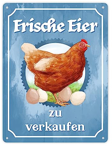 Frische Eier zu verkaufen Metallschild XL in 21x28 cm mit Huhn Motiv für den Bauernladen oder Dekoration am Hühnerstall