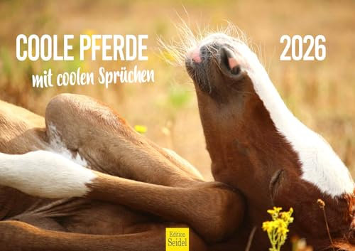 Edition Seidel Premium Jahresplaner Kalender Coole Pferde mit coolen Sprüchen 2026 Format DIN A3 Wandkalender Pferdekalender Tiere Fohlen Stute Hengst Fohlen Pony