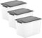 Rotho Compact 3er-Set Aufbewahrungsbox 19l mit Deckel, Kunststoff