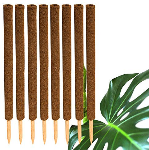 BigDean 8er Set Pflanzstäbe Kokos 80 cm - Monstera Rankhilfe Rankstäbe Stab Moosstäbe Pflanzenstäbe Kokosstäbe für Pflanzen - aus natürlicher Kokosfaser - verlängerbar