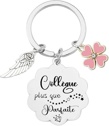 XQXQXZ Cadeau Collègue Porte-clés Collègue Joli cadeau original rigolo de départ Porte-clés d'amitié de Retraite Depart Collegue de Travail