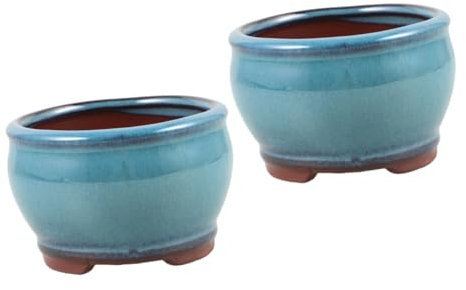 BESPORTBLE 2St Saftige Spargel-Topfpflanze Sukkulenten Pflanzgefäß Tischdekoration Pflanzgefäß Sukkulenten Dekoration grünpflanzen Pflanzen Topf Kleiner Pflanztopf lila Ton