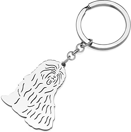 RAIDIN Edelstahl Gold Silber Plattiert Süße Schlüsselanhänger Hund Schlüsselring für Damen Mädchen Geschenke für Auto Geldbeutel Schlüssel Hundeliebhaber (Silber-174 Border Collie)