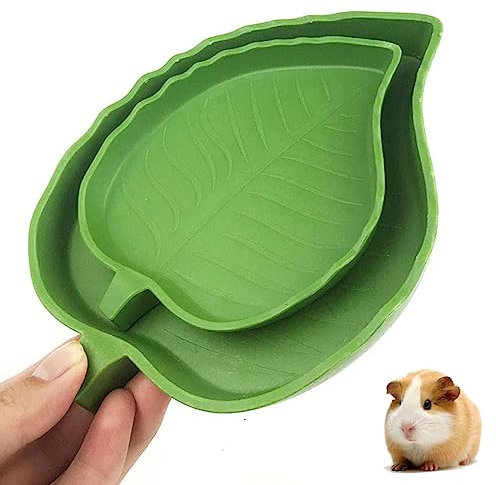 XPEX Paquete de 2 tazones de Agua para Alimentos con Forma de Hoja de Reptil, tazones de Comida Planos, tazones de alimentación para Reptiles