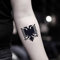 Albanian Eagle Temporary Fake Tattoo Sticker (Set of 2)