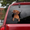 Ocean Gift Rhodesian Ridgeback Autoaufkleber, Hunde-Autoaufkleber 2 Stück - Realistische Rhodesian Ridgeback Aufkleber für Autofenster, Wände, Serie 79, Größe 25,4 x 25,4 cm