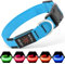 Illumifun LED Dog Collar, USB Rechargeable Light Up Dog Collar Glow in the Dark, Pet Safety Collar Lights for Night Walking Camping (Blue, Medium)
