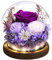 Emibele Regalo Rosa Eterna per la Festa della Mamma, Rosa Reale Conservata in Cupola di Vetro con LED, Fiori per Consegna, Regalo per Donna, Moglie, Compleanno, Anniversario, Viola