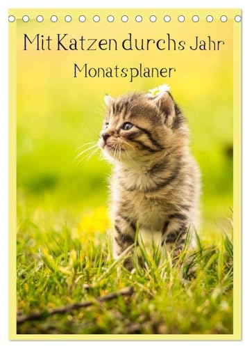 Mit Katzen durchs Jahr/Planer (Tischkalender 2026 DIN A5 hoch), CALVENDO Monatskalender: Ein Terminplaner mit tollen Katzenmotiven (CALVENDO Tiere)