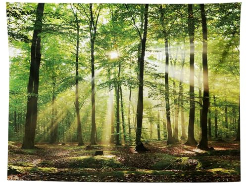 InteDesign Waldbaum Wandteppich, Extra Großer Nebliger Wald Wandbehang, Natürlicher Wald Wandteppich, Sonnenscheinwald Wandtuch für Home Office Dorm Indoor und Outdoor Dekoration, 150 cm x 200 cm
