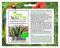 Stk - 10x Agave gentryi winterhart schnell wachsend Pflanzen - Samen B1881 - Seeds & Plants Shop by Ipsa