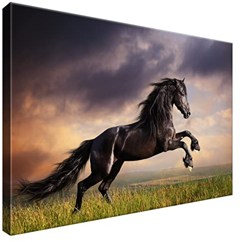 Estika Leinwandbild - Schwarzes Pferd, Wiese - 60x40 cm, 1-teilige Kunst auf Leinwand - Wanddeko für Wohnzimmer, Bild auf Leinwand - Tiere - 1149A_1E