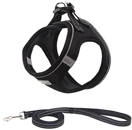 Suredoo Hundegeschirr mit Leine Anti Zug Geschirr Reflektierend Brustgeschirr für Kleine Hunde, Haustiere, Welpen, Katzen (Schwarz, M)