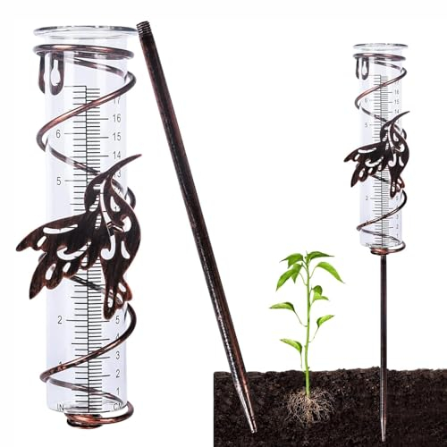 LSRVNM Pluviometre Exterieur Jardin, Pluviomètres en Verre avec Piquet en Métal, Pluviomètre Décoration en Fer Forgé, Pluviomètre Décoratif pour Jardin, Cour, Extérieure (Colibri)