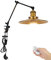 FSLiving TD/2773 Lampe industrielle à pince avec télécommande, clip réglable sur bureau, liseuse, lampe de chevet à intensité variable avec bras flexible pour bureau, table de chevet, étagère, dorée