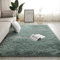 Jyswx Shaggy Teppich Wohnzimmer - Hochflor Flauschig Teppiche Waschbar - Moderne Langflor Teppich für Wohnzimmer, Schlafzimmer, Korridor, Schlafsaal, Größe:200 x 300 cm, Farbe: Cyan