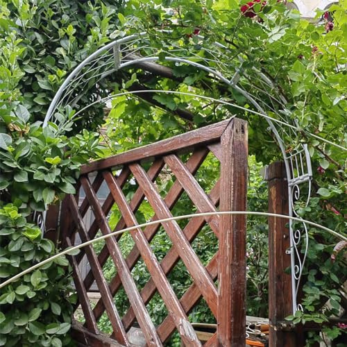 Taifuan Metal Garden Arch Trellis Wall Mounted Rose Arch Garden Trellis for Windows Doors Entrances for Climbing Plants Garden Archway,Window Shade Frame(White)