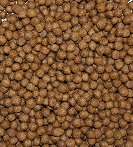 Wohnkult TOP Premium Koifutter Knoblauch in 3 mm und 6 mm 5 Liter und 10 Liter Teich Koi Goldfisch Stör (6 mm / 5 Liter)