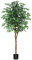 Kazeila Kunstpflanze Ficus Benjamina 180cm Künstliche Pflanzen Groß mit Natürlichen Stämmen Deko Pflanze Kunstbaum ideal für die Innendekoration Schlafzimmer Büro