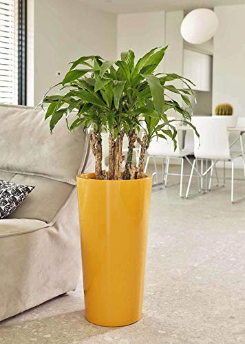 Euro3plast Tuit 2858.T5 Blumentopf mit Einsatztopf 40 cm Ø rund x 73 cm hoch Farbe Mango