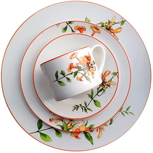 GTTFX Ensembles de Vaisselle pour 8 Personnes, Ensemble d'assiettes et de Bols, Ensemble de Vaisselle en Porcelaine Tendre série thème Perroquet, Ensemble Cadeau, Service de fête de Famille Orange