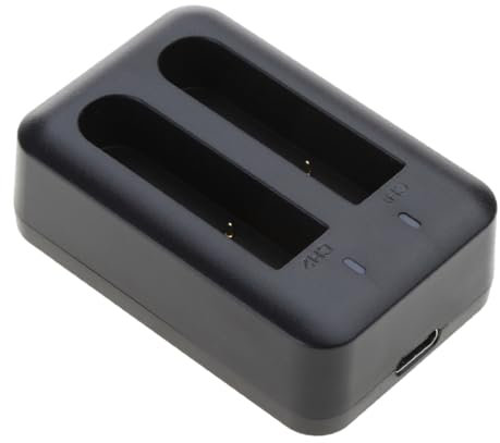Mllepjdh NP40 Chargeur micro USB pour charger deux batteries simultanément pour batteries NP40 5 V 2 A NP40 Chargeur avec compatibilité micro USB Charge rapide NP40 Chargeur pour deux