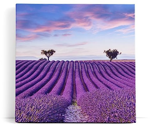 Paul Sinus Wandbild 80x80cm Lavendelfeld Lavendel Violett Landschaft Blumenfeld