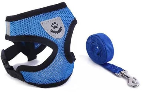 1 pcs Soft Mesh No Pull Cat Harness and Lead Set for Walking, Escape Proof Kitten Vest Harnesses for Small Animals Rabbit/Mouse/Cats, Cool Cat Collar (blue)