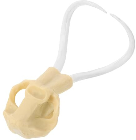 Levemolo Resin Aquarium Dekoration Urzeitliches Schädel Detailgetreues Totenkopf Ornament Sichere Unterwasser Fischbehälter Verzierung für Aquarienlandschaft
