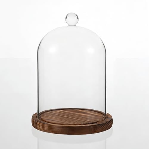 YANJINGHE Cúpula de Cristal con Base de Madera, Vitrina Decorativa de Cristal Transparente con Bandeja, Campana de Cristal Decorativa, 12 x 16 cm, Campana de Cristal, para Plantas, Lámparas, Muñecas