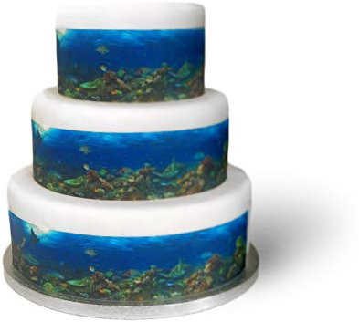 Top That Edible Decor Sheet Underwater Sea Coral Tropical Fish Border Ribbon - Perfect for Decorating Larger Cakes- Easy to Use
