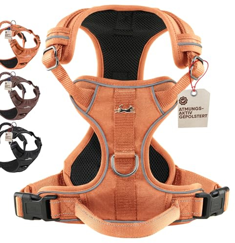 FREUDENTIER Hundegeschirr mit Mesh-Polsterung - Höchster Komfort, bombenfester Sitz & maximale Sicherheit - Anti-Zug-Frontring - Brustgeschirr für große, mittelgroße und kleine Hunde (Orange, S)