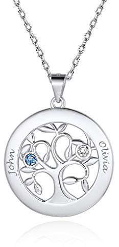 Custom4U Collier Argent 925 Médaillon Personnalisé 2 Prénoms Arbre de Vie
