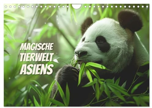 Magische Tierwelt Asiens (Wandkalender 2026 DIN A4 quer), CALVENDO Monatskalender: Tauchen Sie ein in die fesselnde Wildnis Asiens (CALVENDO Tiere)