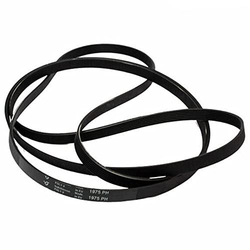 G GRIMALDI Cinghia Trasmissione Lavatrice 1975 6 PH Poly-v compatibile con REX AEG ZOPPAS ZANUSSI ELECTROLUX codice 1258288222 ricambio motore tamburo carica frontale cinghia liscia in gomma elastica