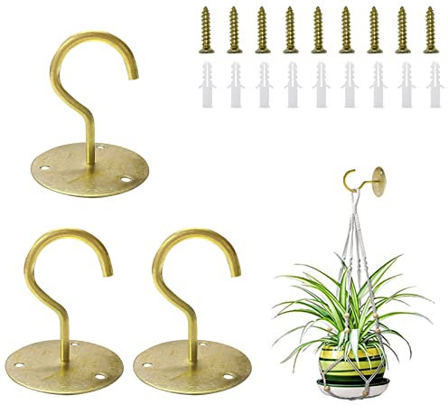 Reagia Lot de 3 crochets de plafond pour suspendre des plantes, supports muraux en métal avec vis et ancrages pour suspendre des paniers de plantes, des lanternes, des carillons, des mangeoires à
