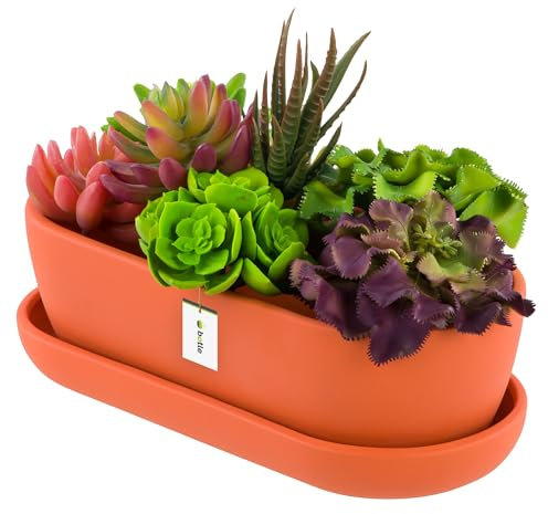 botle Pot de fleurs ovale en céramique orange avec soucoupe - 13 x 27,5 x 8 cm - Surface mate - Moderne et glamour