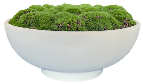 Macomine Design Moss Bowl | 10 Diameter | Artificial | Lightweight Ceramic Bowl | Home Décor