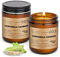 Citronella Kerzen Outdoor Groß,240Std Draußen Camping Citronella Kerzen im Glas Zitronenkerze mit Deckel Garten Lemongrass Natürliches Sojawachs für Balkon,Picknick,Camping,Terrasse Tischdeko
