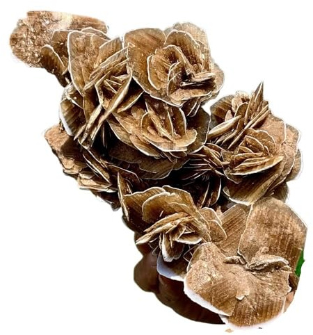 BIANMTSW 1pc 100-200g selenite desert rose crystal cluster gemstone room and office decoration