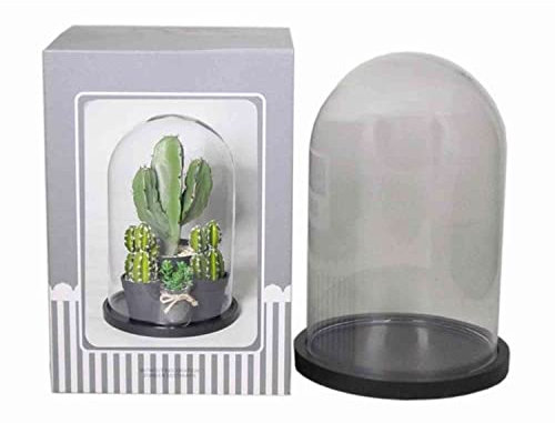 INNA-Glas Glassturz SABIKA, mit Platte, Zylinder - Rund, klar, 30cm, Ø 20cm - Ø 22cm - Glasglocke