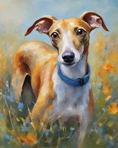 ZMHZMY Malen nach Zahlen Kit für Erwachsene,Italienischer Windhund auf Gras,Poster Kunst Moderne Leinwand Ölgemälde Home Decor,40x50cm